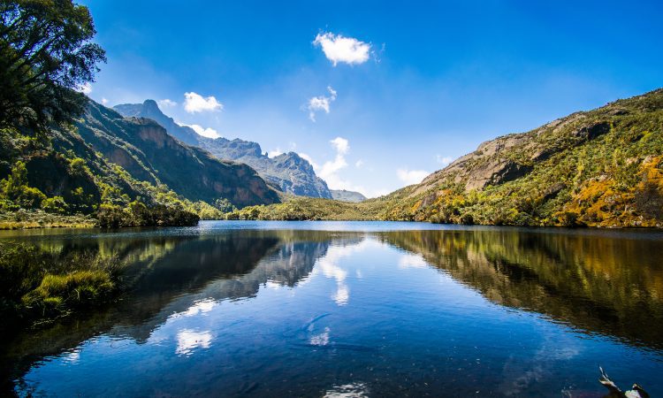 Visit Rwenzori Mountains Congo - Facts, Location & More