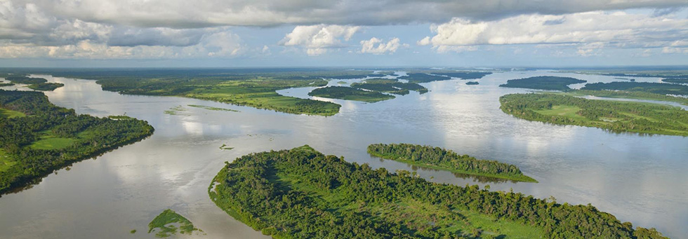 Salonga National Park