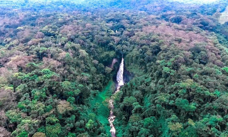 Kahuzi-Biega National Park Tour Operators