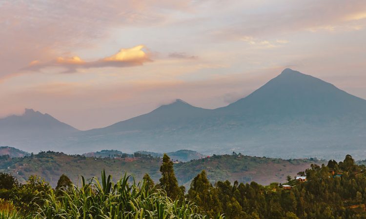 Volcanoes National Park Tour Operators