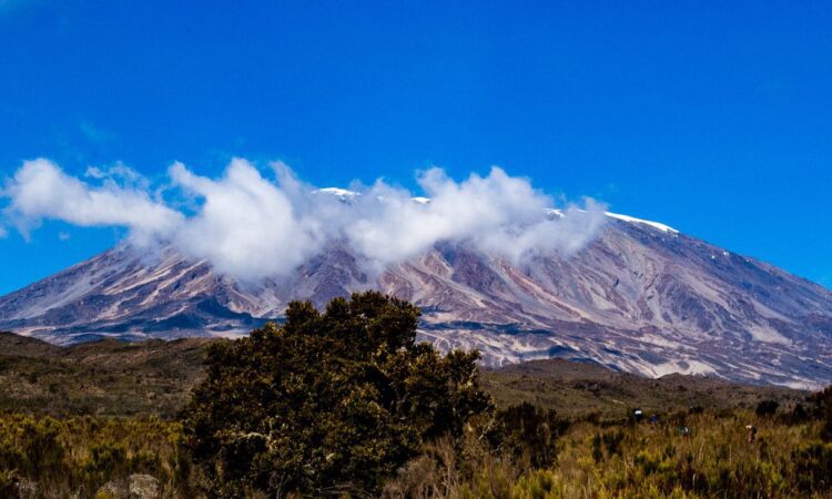 10 Days Uganda Gorilla Safari & Mount Kilimanjaro Hiking