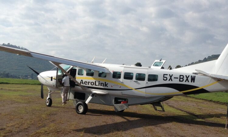 7 Days Uganda Primate Trekking & Flying Safari to Bwindi