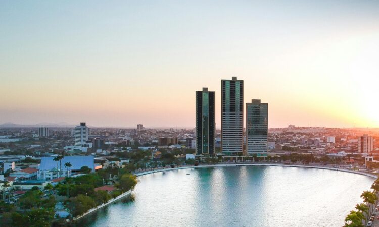 Gorilla Trekking from Brazil - Your Comprehensive Guide to African Primate Adventures