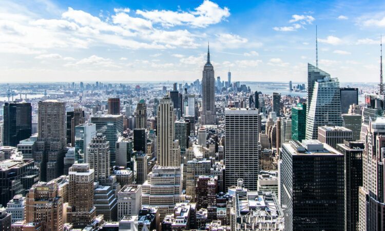 Gorilla Trekking from the USA - United States of America Travel Guide